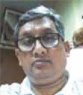 Amalesh Ray